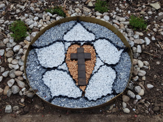 Lutherrose_Foto